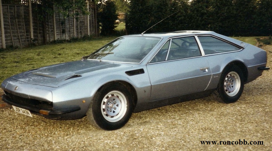 Lambo1L.jpg - 206636 Bytes