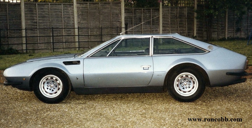 Lambo2L.jpg - 235389 Bytes
